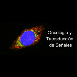 Logo del grupo Oncología y transducción de señales