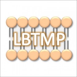 Logo del grupo Laboratorio de biofísica y toxicología de metales pesados